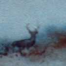 Thumb Hirsch in der D�mmerung